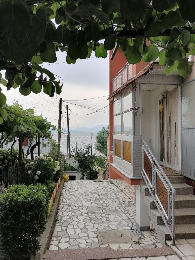 Villa Shine Apartment 1 ستروغا المظهر الخارجي الصورة